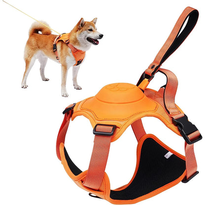 Retractable Dog Harness and Retractable Leash Set All-in-One.