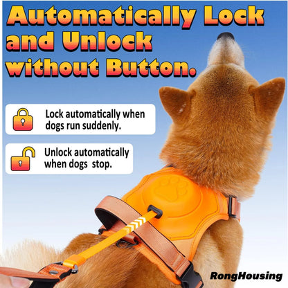 Retractable Dog Harness and Retractable Leash Set All-in-One.