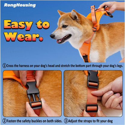 Retractable Dog Harness and Retractable Leash Set All-in-One.